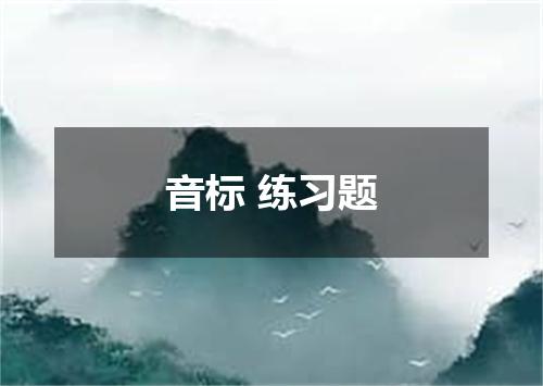音标 练习题