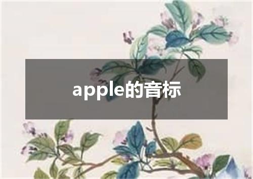 apple的音标
