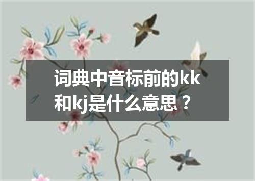 词典中音标前的kk和kj是什么意思?