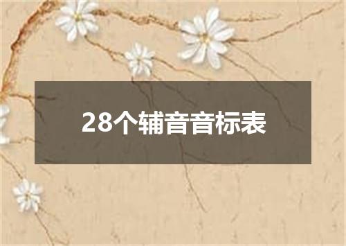 28个辅音音标表