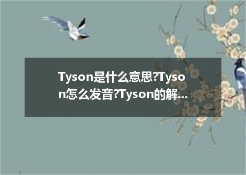 Tyson是什么意思?Tyson怎么发音?Tyson的解释和用法