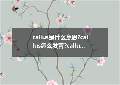 callus是什么意思?callus怎么发音?callus的解释和用法