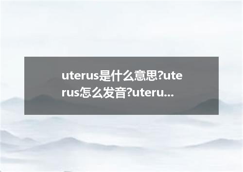 uterus是什么意思?uterus怎么发音?uterus的解释和用法