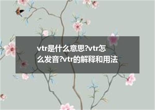 vtr是什么意思?vtr怎么发音?vtr的解释和用法