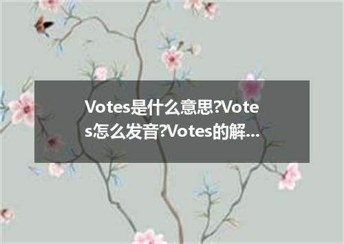 Votes是什么意思?Votes怎么发音?Votes的解释和用法