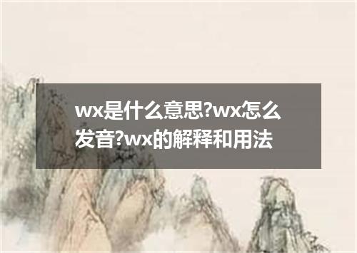 wx是什么意思?wx怎么发音?wx的解释和用法
