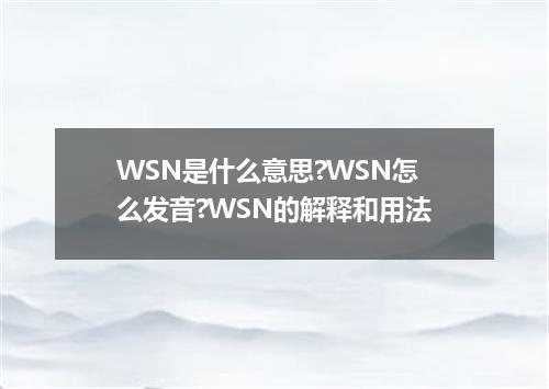 WSN是什么意思?WSN怎么发音?WSN的解释和用法