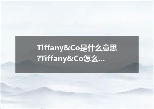 Tiffany&Co是什么意思?Tiffany&Co怎么发音?Tiffany&Co的解释和用法