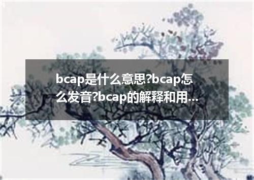 bcap是什么意思?bcap怎么发音?bcap的解释和用法