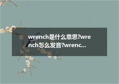 wrench是什么意思?wrench怎么发音?wrench的解释和用法