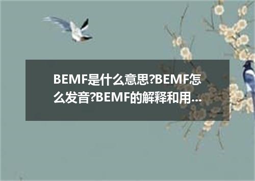 BEMF是什么意思?BEMF怎么发音?BEMF的解释和用法