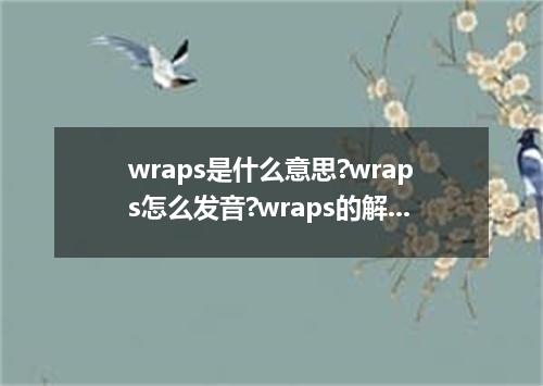 wraps是什么意思?wraps怎么发音?wraps的解释和用法