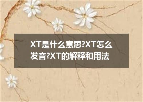 XT是什么意思?XT怎么发音?XT的解释和用法