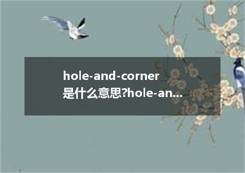 hole-and-corner是什么意思?hole-and-corner怎么发音?hole-and-corner的解释和用法