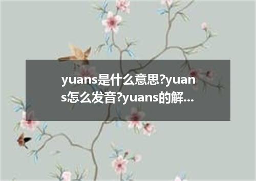yuans是什么意思?yuans怎么发音?yuans的解释和用法