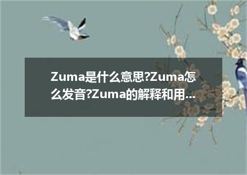 Zuma是什么意思?Zuma怎么发音?Zuma的解释和用法