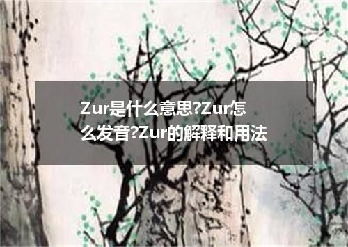 Zur是什么意思?Zur怎么发音?Zur的解释和用法