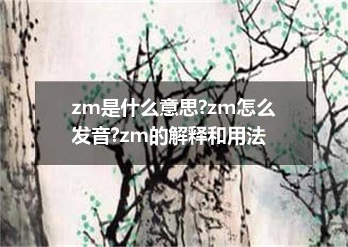 zm是什么意思?zm怎么发音?zm的解释和用法