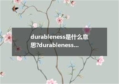 durableness是什么意思?durableness怎么发音?durableness的解释和用法