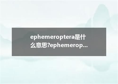 ephemeroptera是什么意思?ephemeroptera怎么发音?ephemeroptera的解释和用法