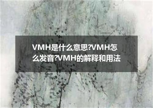 VMH是什么意思?VMH怎么发音?VMH的解释和用法