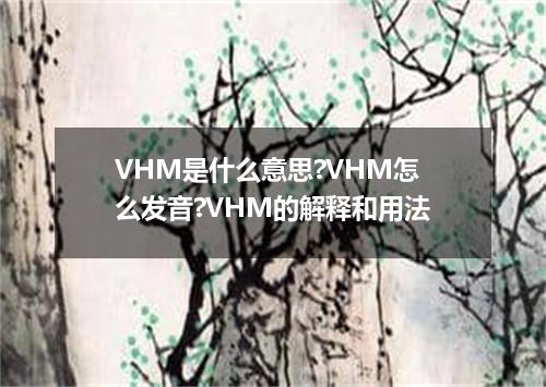 VHM是什么意思?VHM怎么发音?VHM的解释和用法
