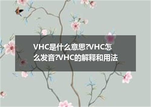 VHC是什么意思?VHC怎么发音?VHC的解释和用法