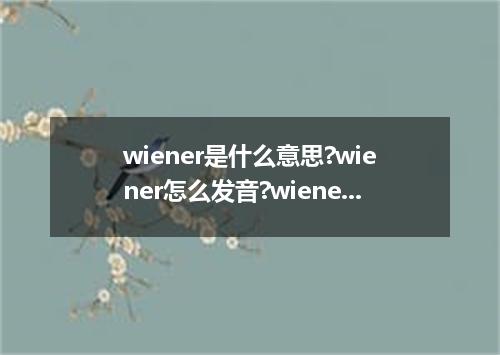 wiener是什么意思?wiener怎么发音?wiener的解释和用法
