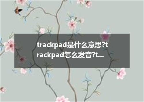 trackpad是什么意思?trackpad怎么发音?trackpad的解释和用法