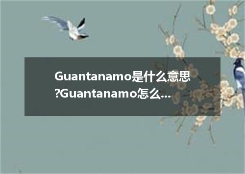 Guantanamo是什么意思?Guantanamo怎么发音?Guantanamo的解释和用法