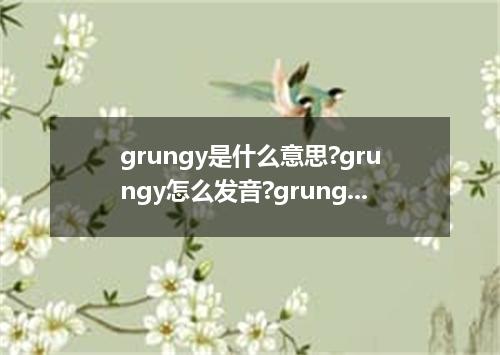 grungy是什么意思?grungy怎么发音?grungy的解释和用法