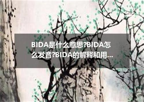 BIDA是什么意思?BIDA怎么发音?BIDA的解释和用法