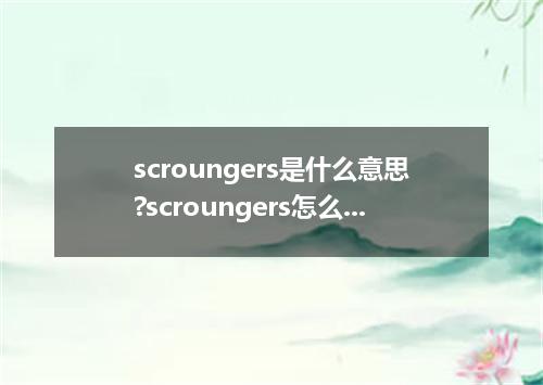 scroungers是什么意思?scroungers怎么发音?scroungers的解释和用法