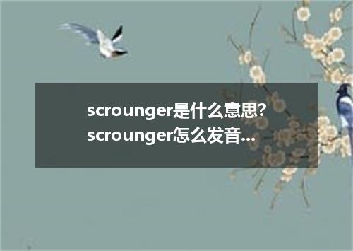 scrounger是什么意思?scrounger怎么发音?scrounger的解释和用法