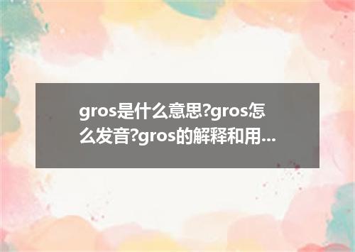 gros是什么意思?gros怎么发音?gros的解释和用法