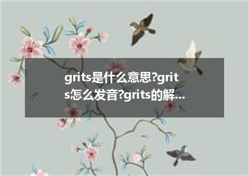 grits是什么意思?grits怎么发音?grits的解释和用法