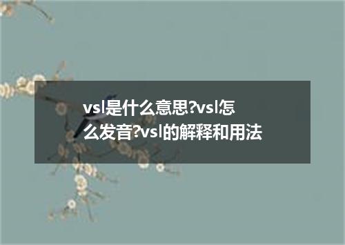 vsl是什么意思?vsl怎么发音?vsl的解释和用法