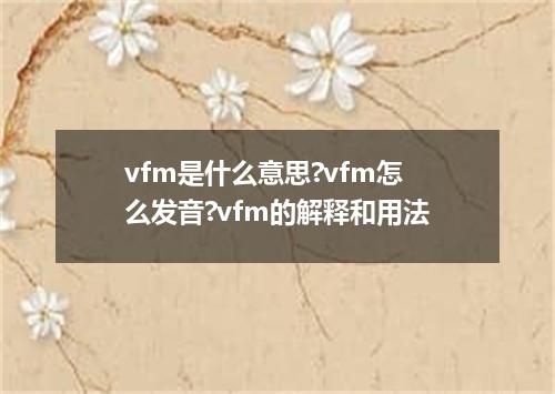 vfm是什么意思?vfm怎么发音?vfm的解释和用法