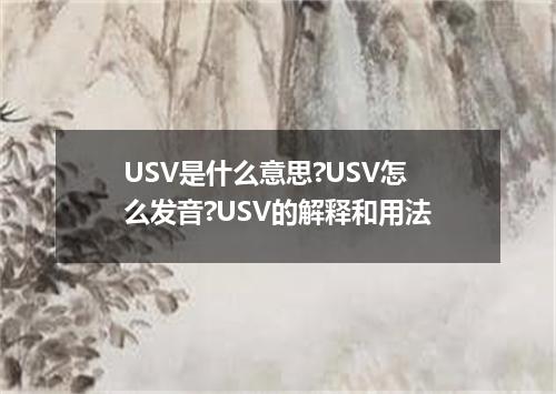 USV是什么意思?USV怎么发音?USV的解释和用法