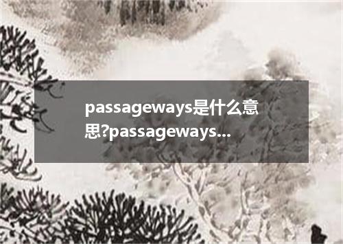 passageways是什么意思?passageways怎么发音?passageways的解释和用法