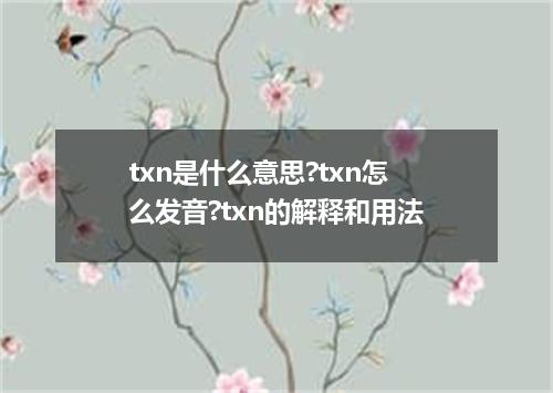 txn是什么意思?txn怎么发音?txn的解释和用法
