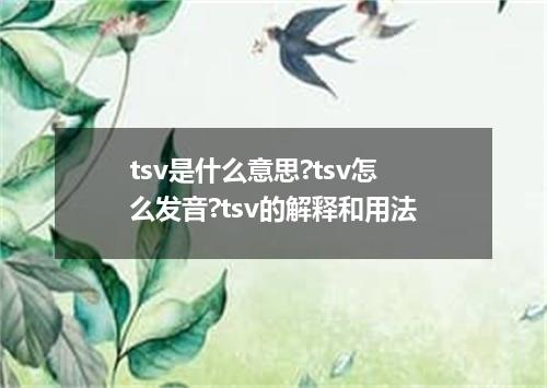 tsv是什么意思?tsv怎么发音?tsv的解释和用法