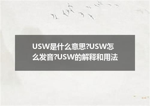 USW是什么意思?USW怎么发音?USW的解释和用法
