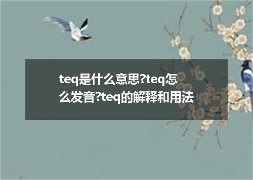 teq是什么意思?teq怎么发音?teq的解释和用法
