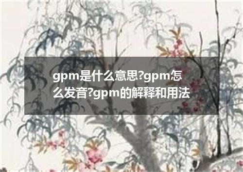 gpm是什么意思?gpm怎么发音?gpm的解释和用法