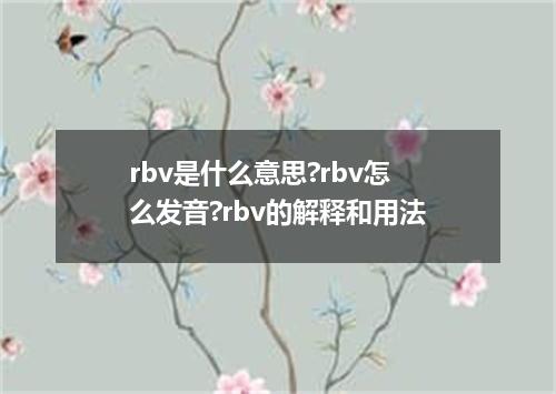 rbv是什么意思?rbv怎么发音?rbv的解释和用法