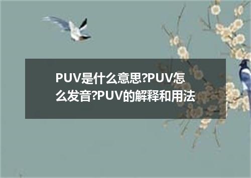 PUV是什么意思?PUV怎么发音?PUV的解释和用法