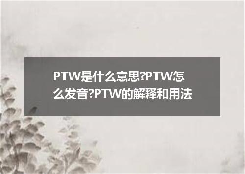 PTW是什么意思?PTW怎么发音?PTW的解释和用法