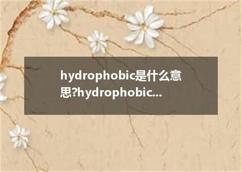 hydrophobic是什么意思?hydrophobic怎么发音?hydrophobic的解释和用法