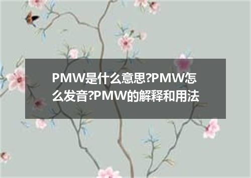 PMW是什么意思?PMW怎么发音?PMW的解释和用法